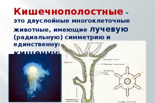 Кракен онион зеркала зеркало