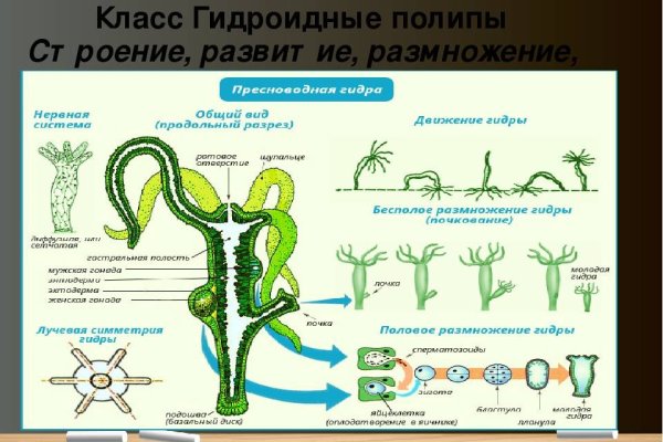 Kraken ссылка тор 2krnk biz