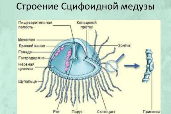 Кракен тор ссылка магазин